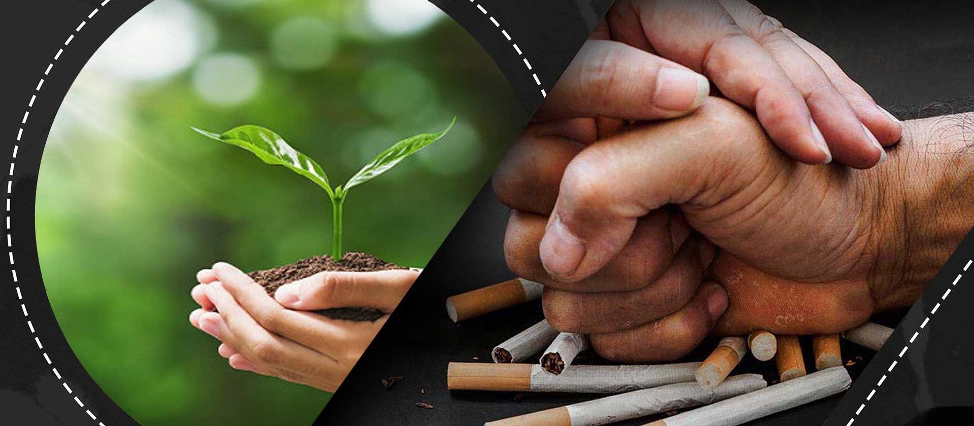 ترک سیگار و رهایی از اعتیاد نیکوتین با روشهای طبیعی