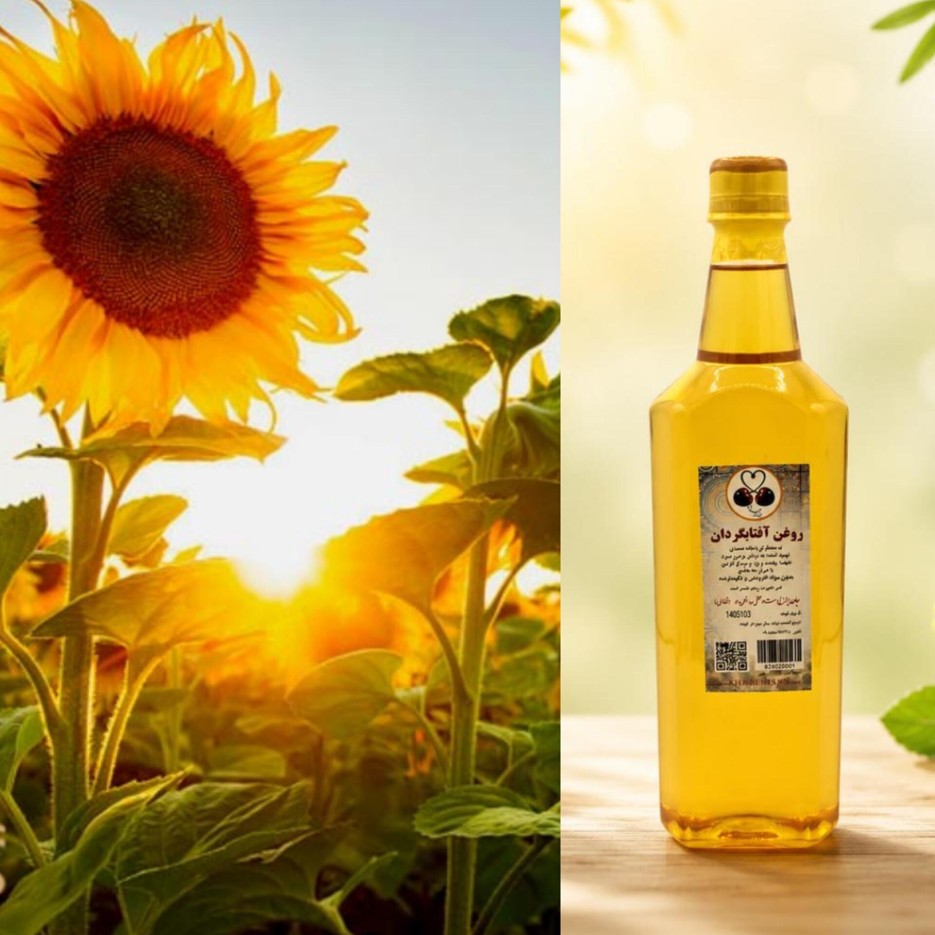 روغن آفتابگردان؛ بررسی علمی خواص، مضرات و راهنمای جامع تشخیص روغن طبیعی