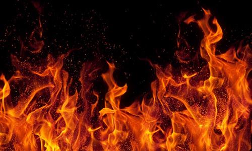 جن،جانوری دارای شعور و فیزیکی غیر ارگانیک