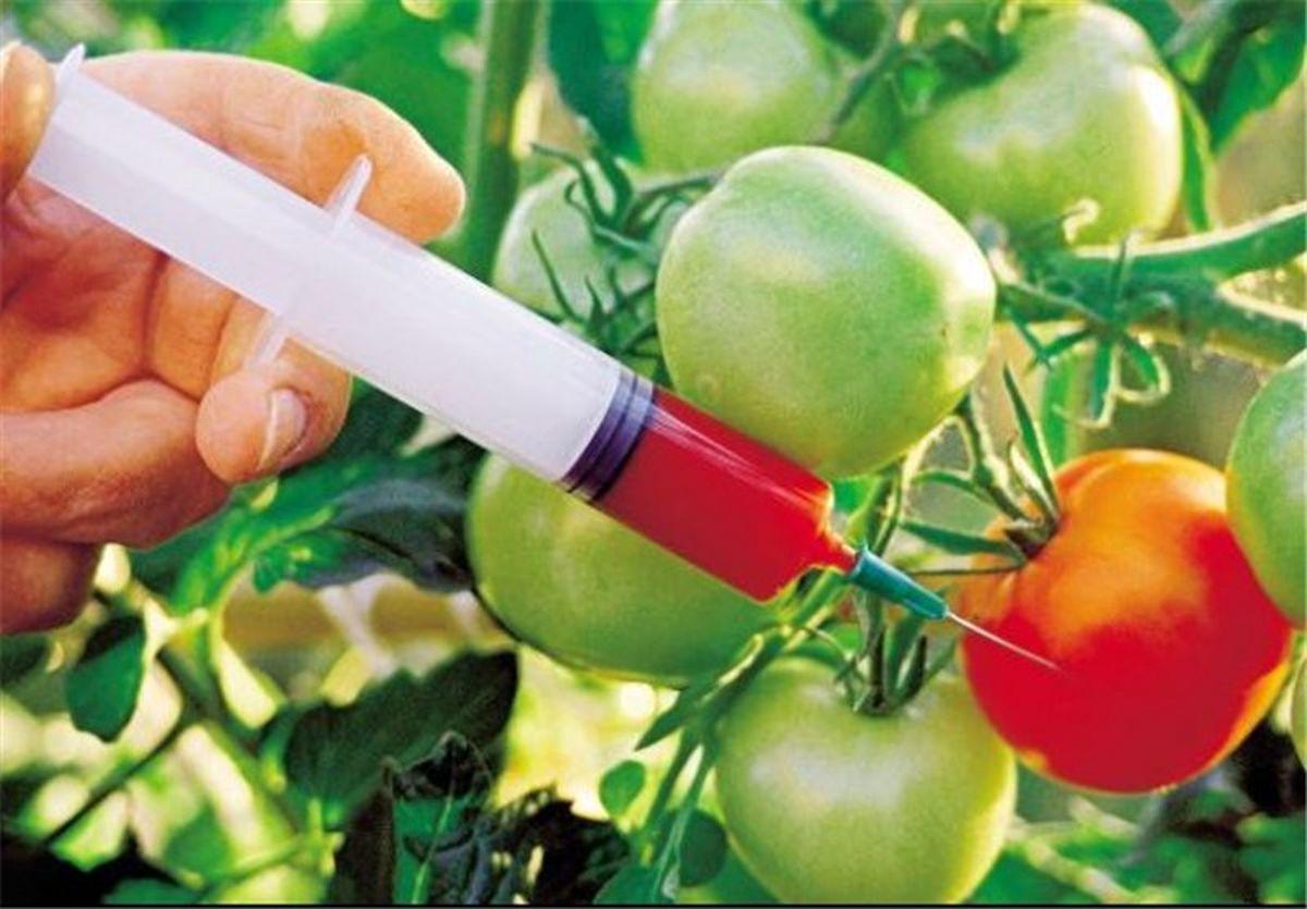 تفاوت تراریخته (تغییر ژنتیک) و بذر اصلاح شده