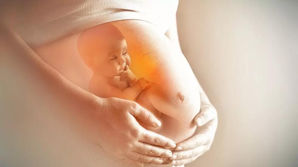 تعیین جنسیت جنین؛چگونه پسردار شویم؟ 