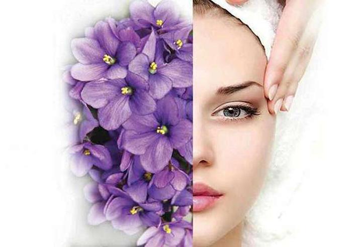 خواص روغن بنفشه برای پوست، مو و بی‌خوابی | روش استفاده و خرید روغن اصل 