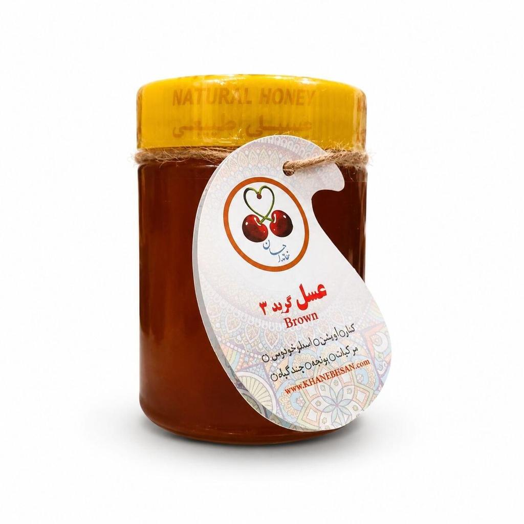 عسل آنغوزه نیم کیلویی پت گرید3 - تصویر 1