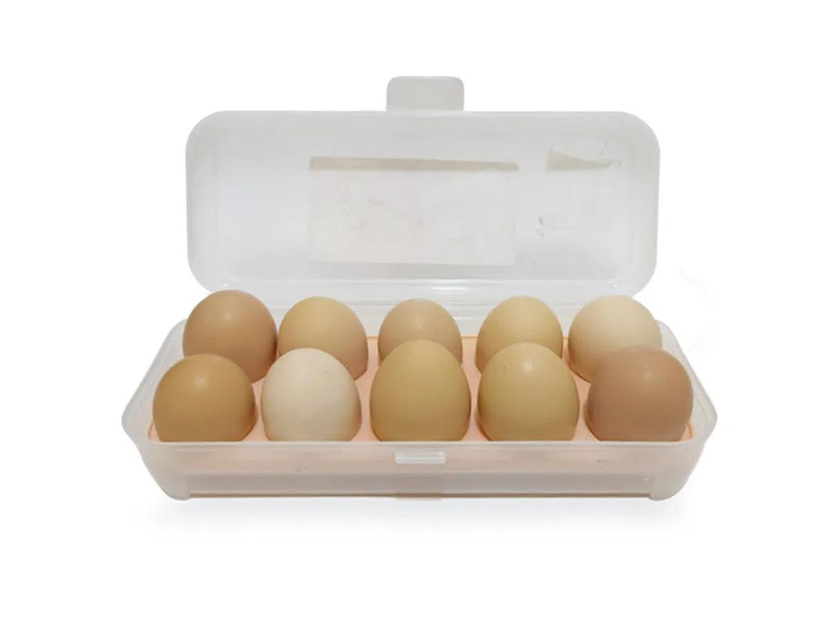 تخم مرغ محلی ۱ کیلویی