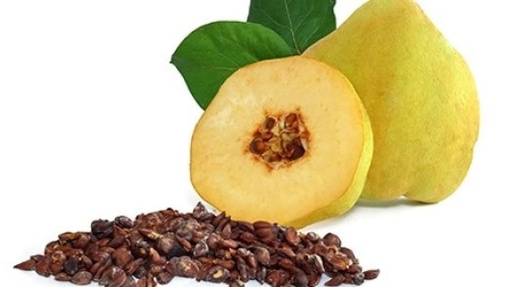 دانه به فله