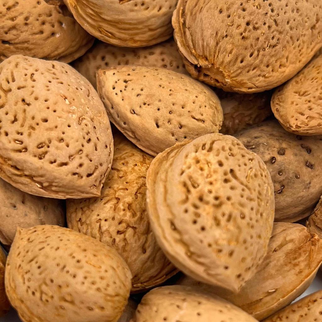 بادام سنگی (500 گرمی) - تصویر 2