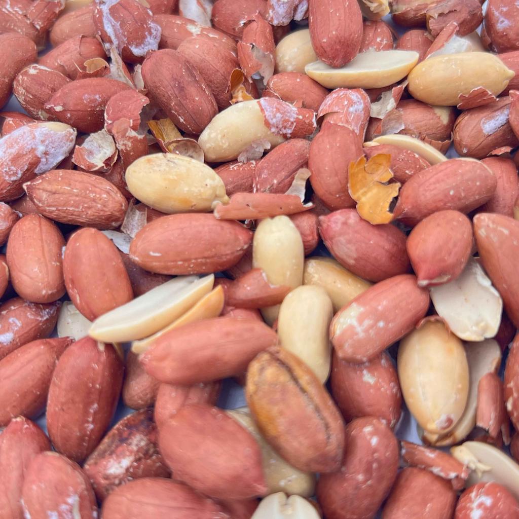 مغز بادام زمینی برشته آستانه (300 گرمی) - تصویر 2