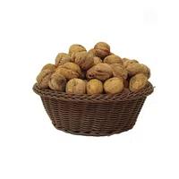 گردو 500 گرمی 